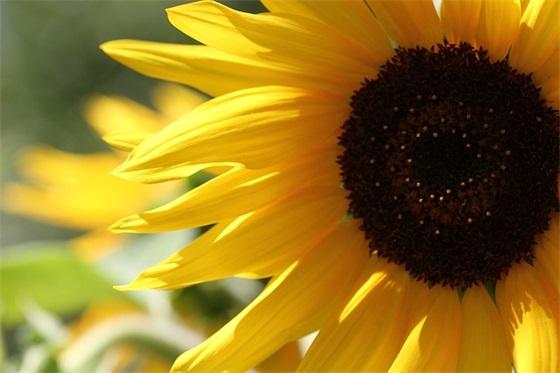 生日祝福语简短8字 生日祝福语简短8字文艺