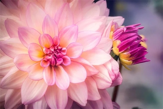 2026年简单祝福语大全72句