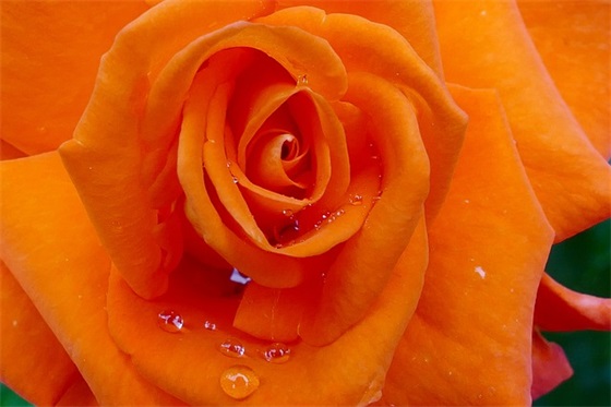 小学毕业生祝福语36句