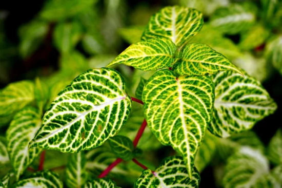 2026情人节祝福语感动句子 2026情人节祝福语