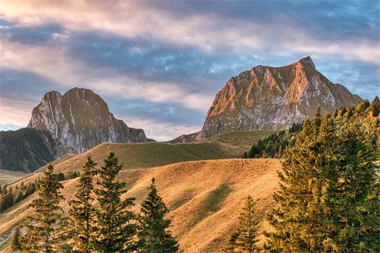 表达无聊的句子