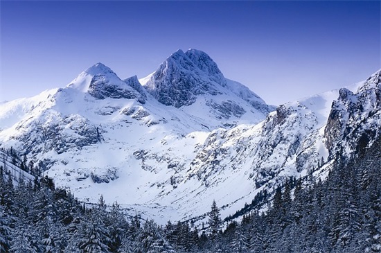 要学会打扮自己的句子