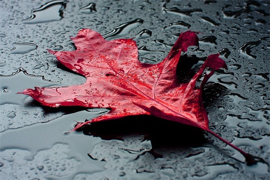 生意人的祝福语 给生意人的祝福语 生意人的祝福语 给生意人的祝福语