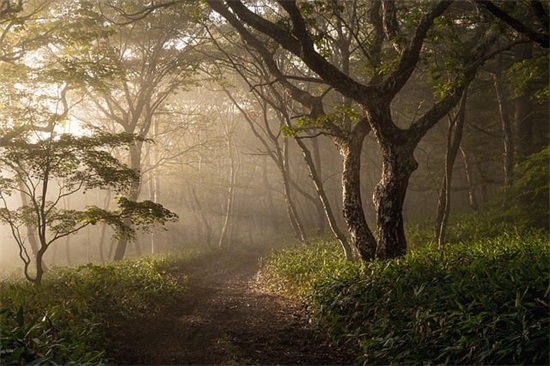 男朋友生日祝福语感动