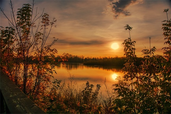 中秋吃月饼的祝福短语