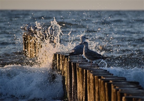女生节快乐简短祝福 三八节祝福语短句精选 女生节快乐简短祝福 三八节祝福语短句精选