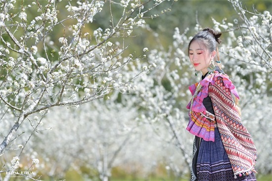 身体祝福语四字成语 身体祝福语大全四字成语