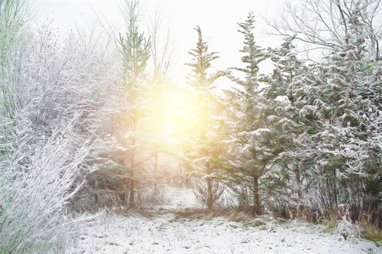 父亲生日祝福语简短独特71句 父亲生日祝福语简短独特71句
