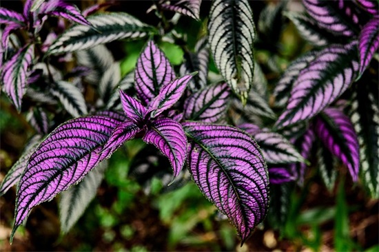 有深度的生日祝福语 有深度的生日祝福语简短