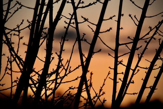 搞笑邪恶的生日祝福语 欠揍的生日祝福语
