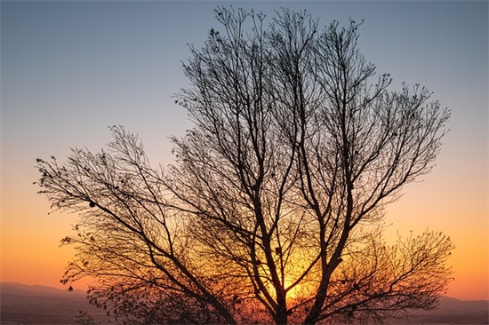 生日祝福语格式