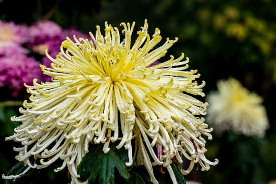 超拽很有个性的句子 霸气高冷到爆的励志句子