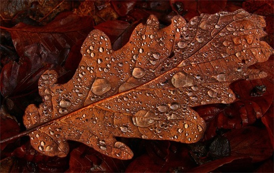 最新早上好的句子