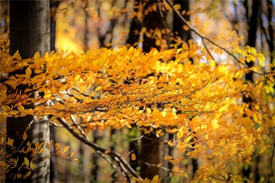 给创业者鼓励的一段话 关于创业励志的句子