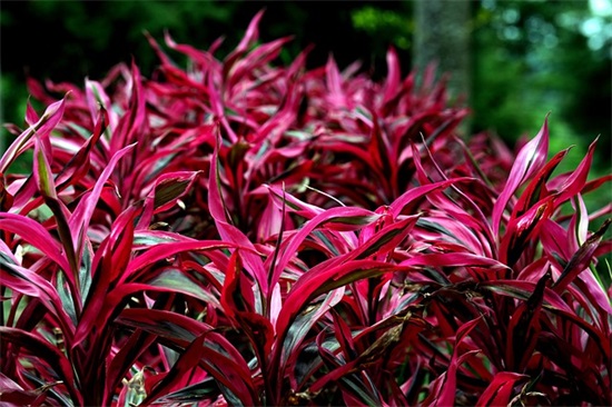 被爱情伤害的心痛句子