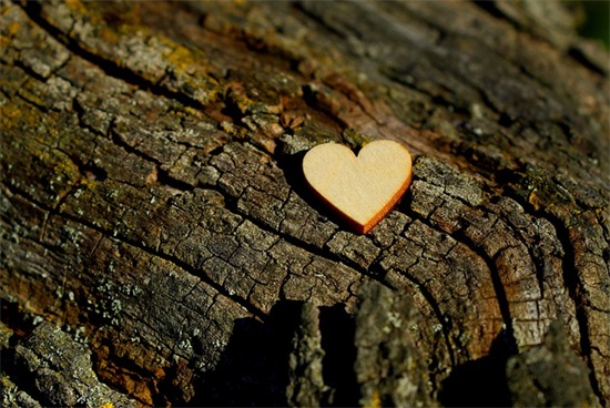 对父亲的健康祝福语 父亲对女儿的祝福语