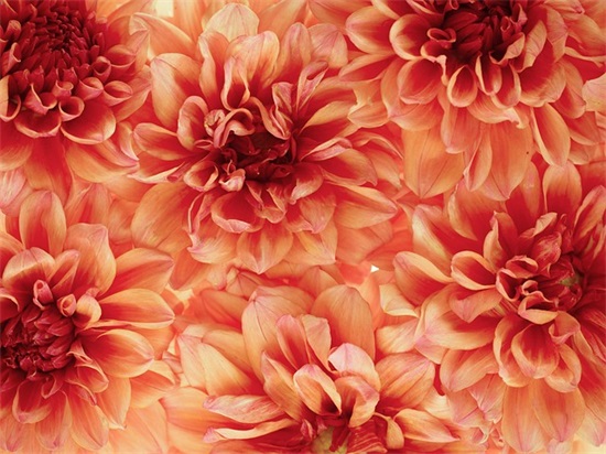 儿童祝福语大全35句