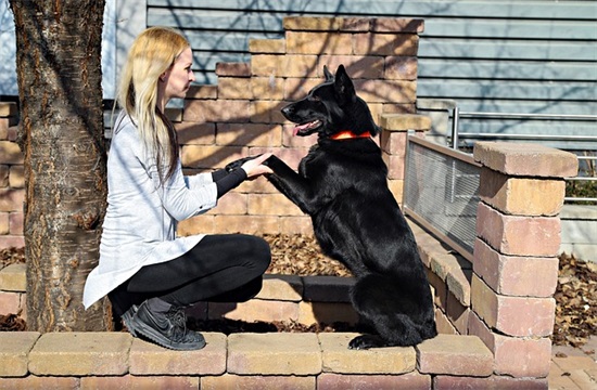 英文新年祝福语2026年70句