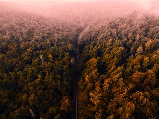 姊妹生日祝福语 妹妹生日祝福语