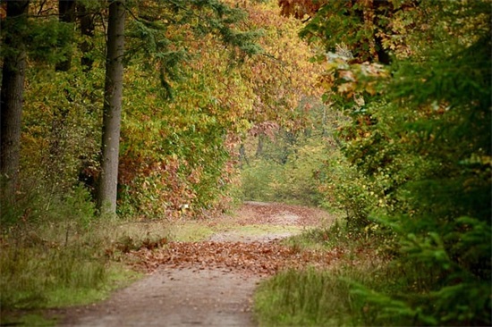 欢迎远方朋友到来的句子 欢迎客人的热情语句