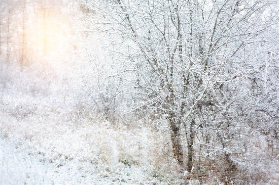 人生哲学的好句子