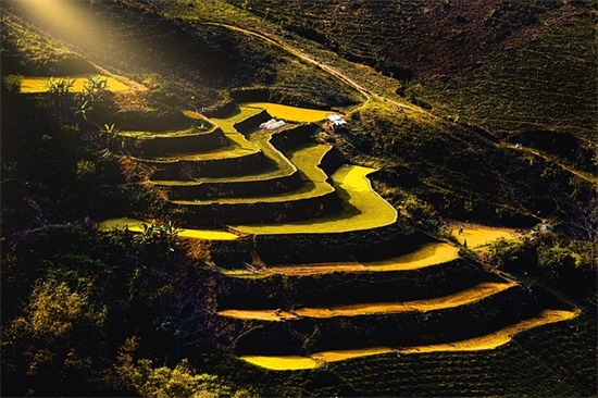 激励人坚持的句子 激励人心的暖心句子