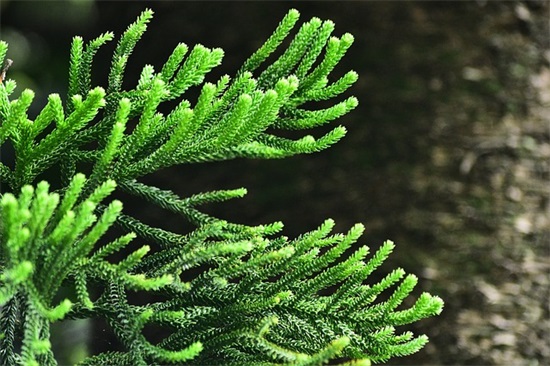 化解矛盾的句子31句