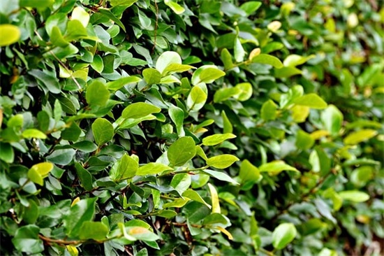 虐心的伤感句子 非常伤感的话