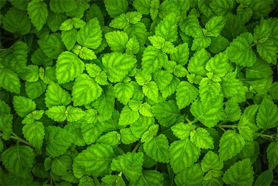 失恋的句子女生