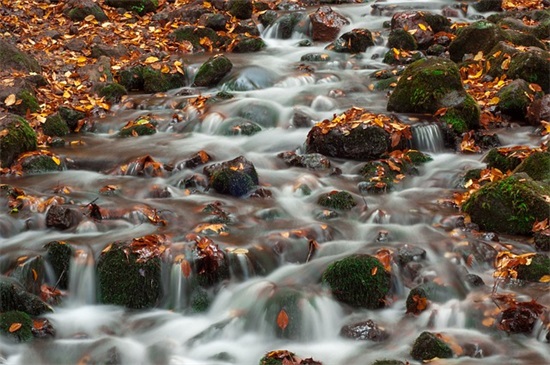 安慰失落的人的暖心话 写给心累的自己句子