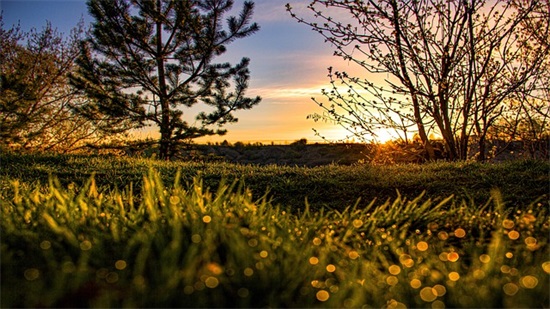 描写秋天优美句子摘抄短句