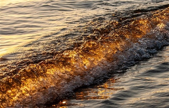 很甜很撩的情话短句 很甜很撩的高级情话句子