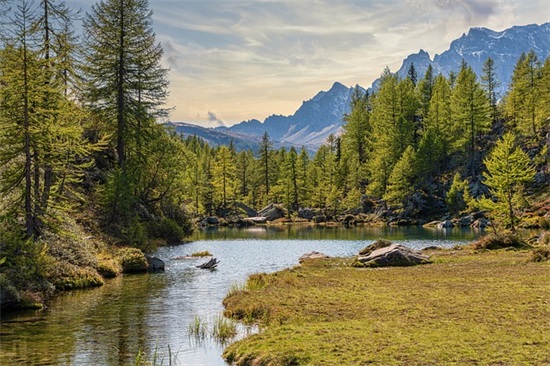 北京的春节好句 北京的春节好句子赏析