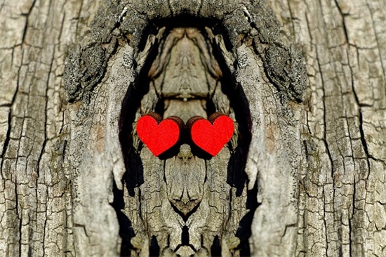 关于感恩优美句子