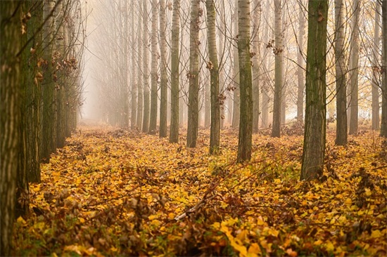 文明诚信的励志句子