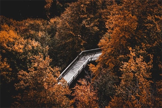 2026给好朋友的圣诞节祝福短信