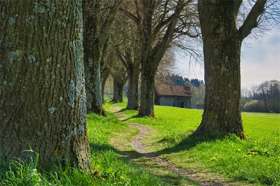 新婚讲话祝福语 新婚祝福语简短
