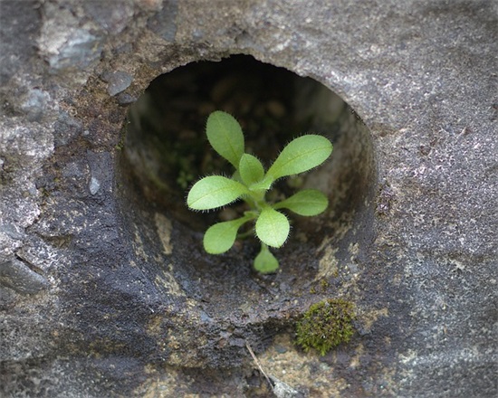 祝福父亲的简短话语