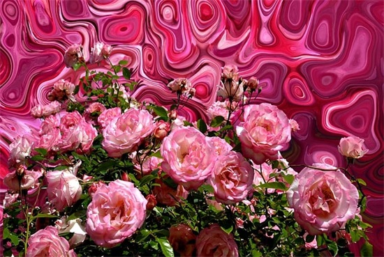 祝儿子生日快乐祝福语