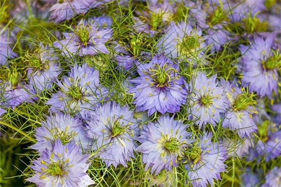 关于地球日的环保句子 地球日文案怎么写精选