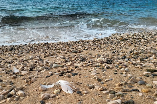 表达坏心情的句子 伤感心情语录