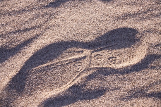 搞笑心情经典语录100句 搞笑心情经典语录100句