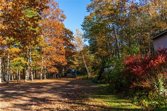 莫言语录感悟84句 莫言语录感悟84句