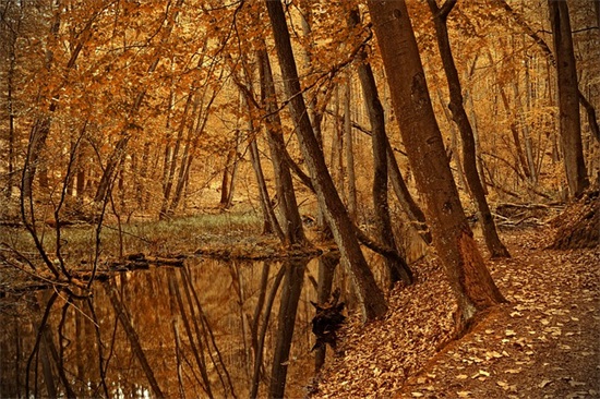 郭德纲搞笑语录80句 郭德纲搞笑语录80句