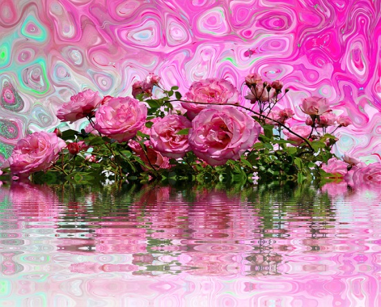 经典爱情表白语录短句 爱情的表白语录大全