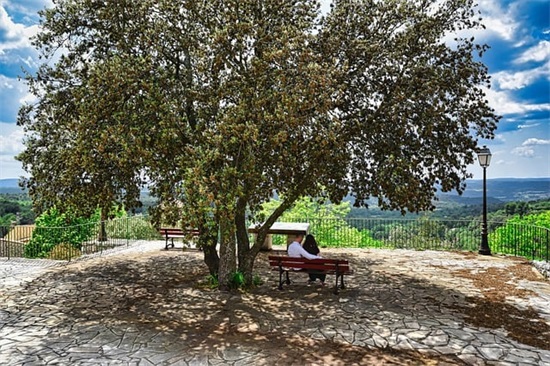 宝贝爱你情感语录