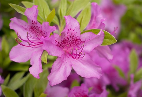 实用的励志的语录