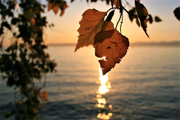 令人无语又搞笑的语录