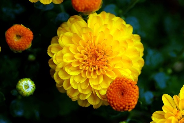 饶雪漫爱情语录经典大全