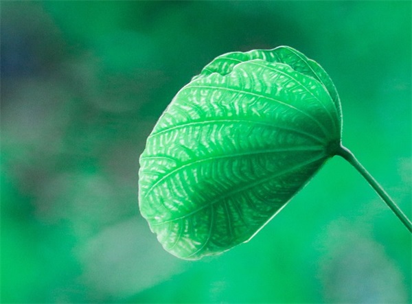 佛的正能量名言 正能量语录